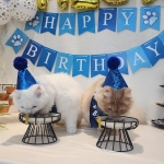 Слот Mustang Gold как источник радости и позитивных эмоций в жизни