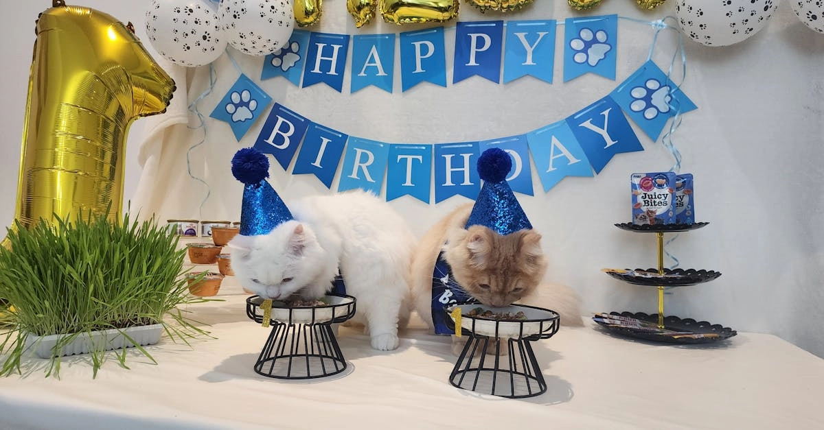 Слот Mustang Gold как источник радости и позитивных эмоций в жизни