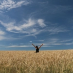 Sky Bounty игра развивает позитивное мышление и радостное восприятие мира