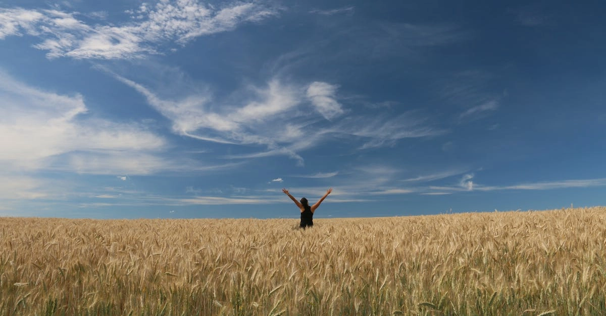 Sky Bounty игра развивает позитивное мышление и радостное восприятие мира